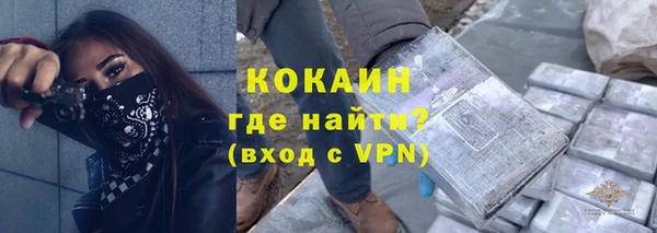 стафф Алзамай
