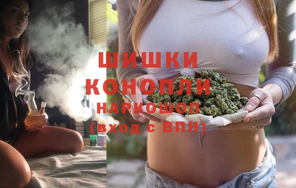 сатива Алексеевка