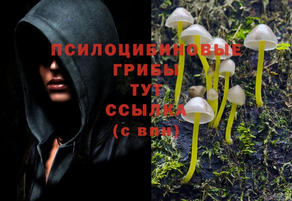 стафф Алзамай