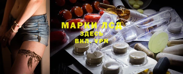 стафф Алзамай