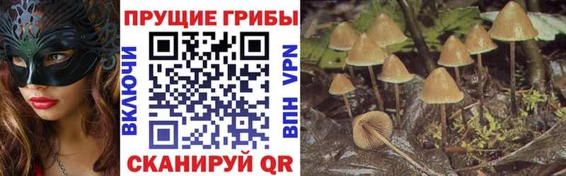 Псилоцибиновые грибы прущие грибы Злынка